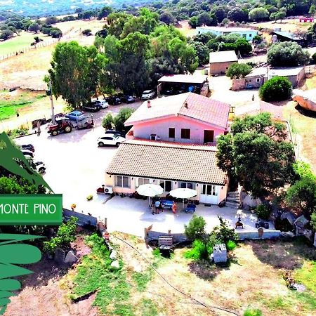 Agriturismo Monte Pino 텔티 외부 사진