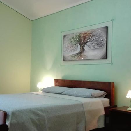 Agriturismo Monte Pino 텔티 외부 사진