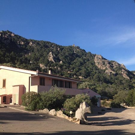 Agriturismo Monte Pino 텔티 외부 사진
