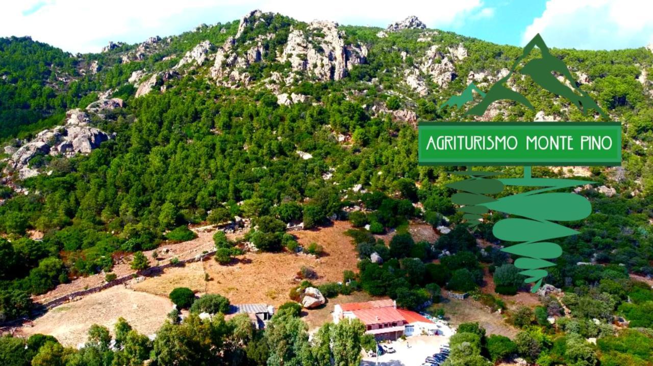 Agriturismo Monte Pino 텔티 외부 사진