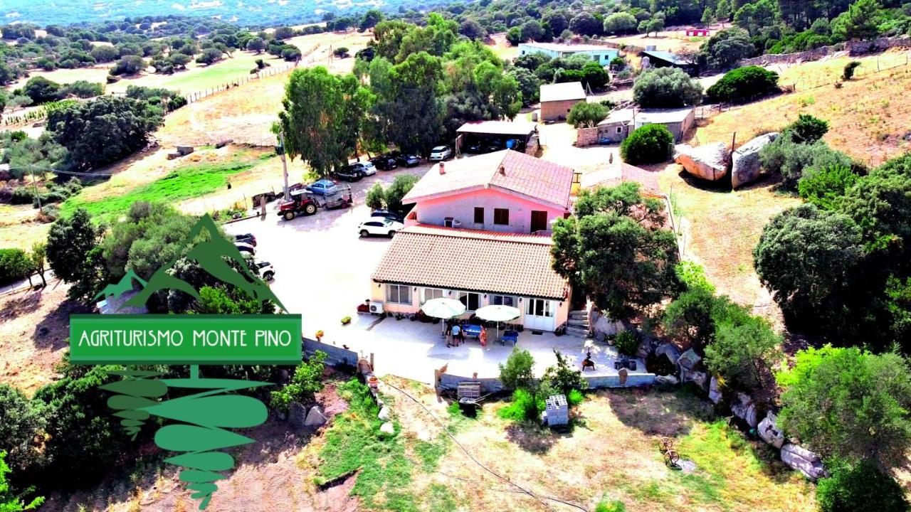 Agriturismo Monte Pino 텔티 외부 사진