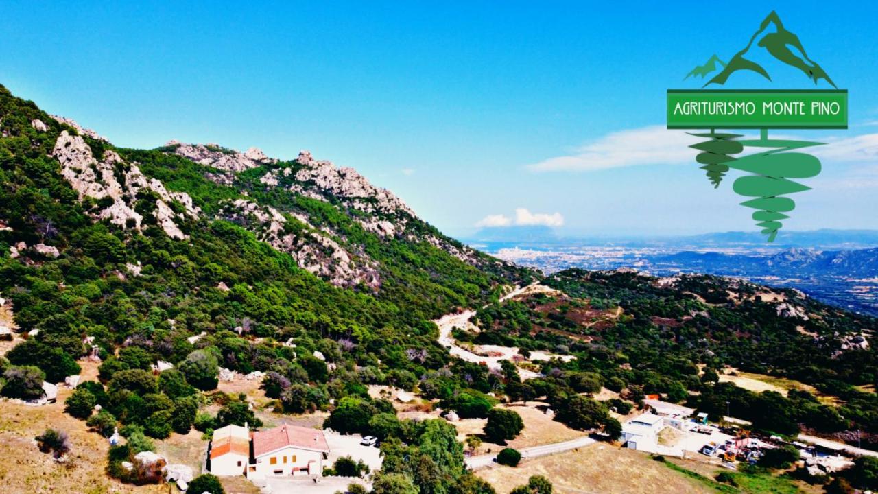 Agriturismo Monte Pino 텔티 외부 사진