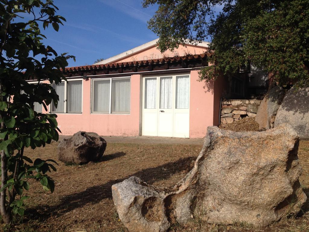 Agriturismo Monte Pino 텔티 외부 사진