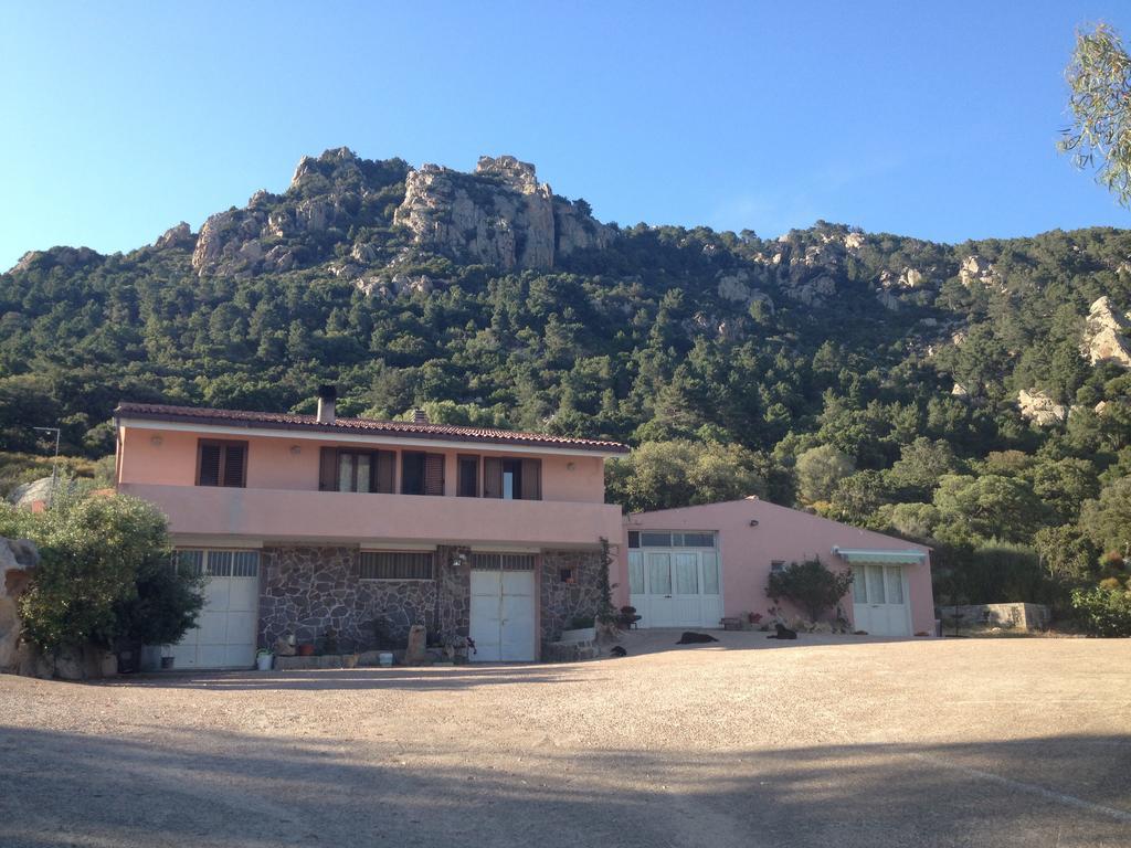 Agriturismo Monte Pino 텔티 외부 사진