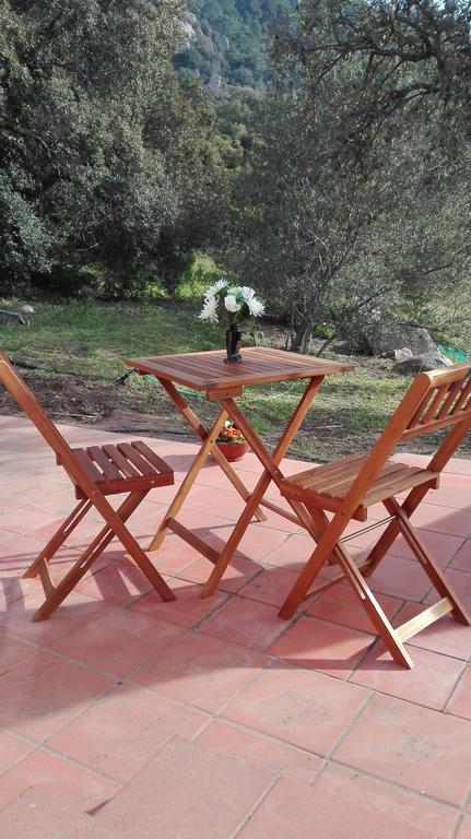 Agriturismo Monte Pino 텔티 외부 사진