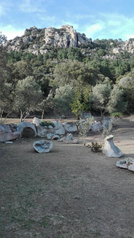 Agriturismo Monte Pino 텔티 외부 사진