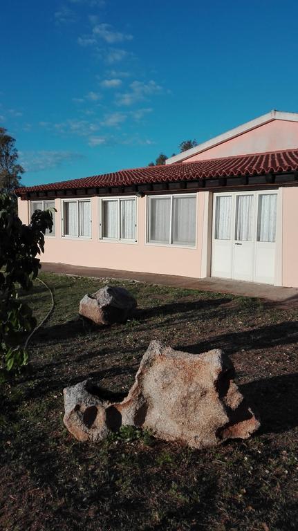 Agriturismo Monte Pino 텔티 외부 사진