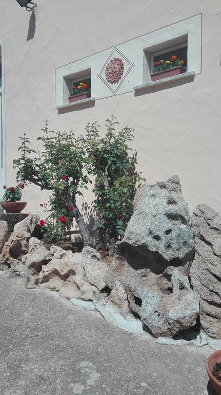 Agriturismo Monte Pino 텔티 외부 사진