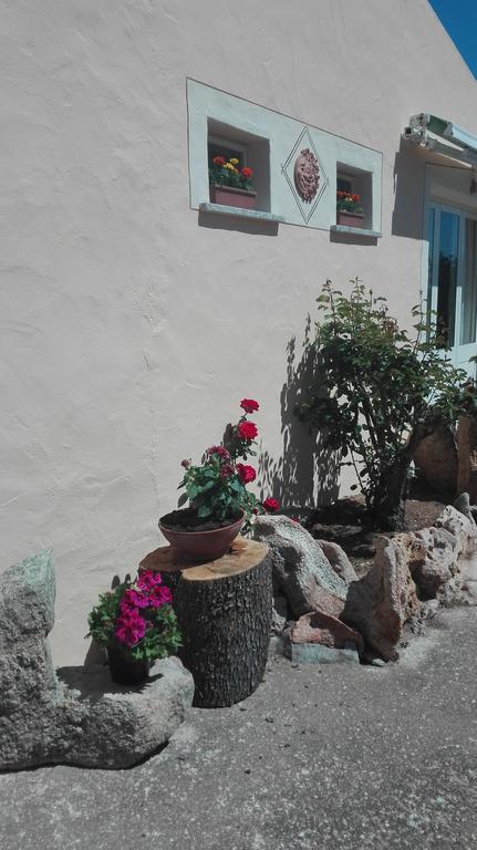 Agriturismo Monte Pino 텔티 외부 사진