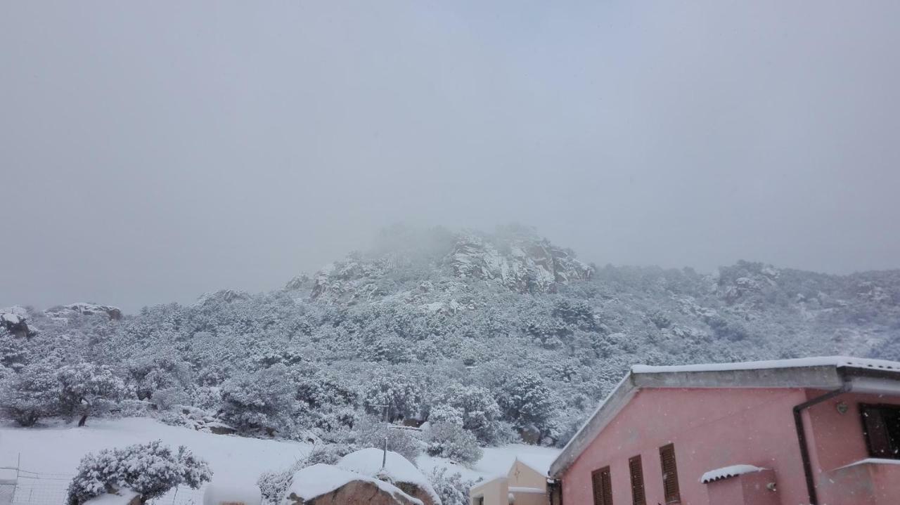 Agriturismo Monte Pino 텔티 외부 사진