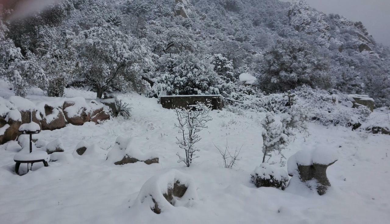 Agriturismo Monte Pino 텔티 외부 사진