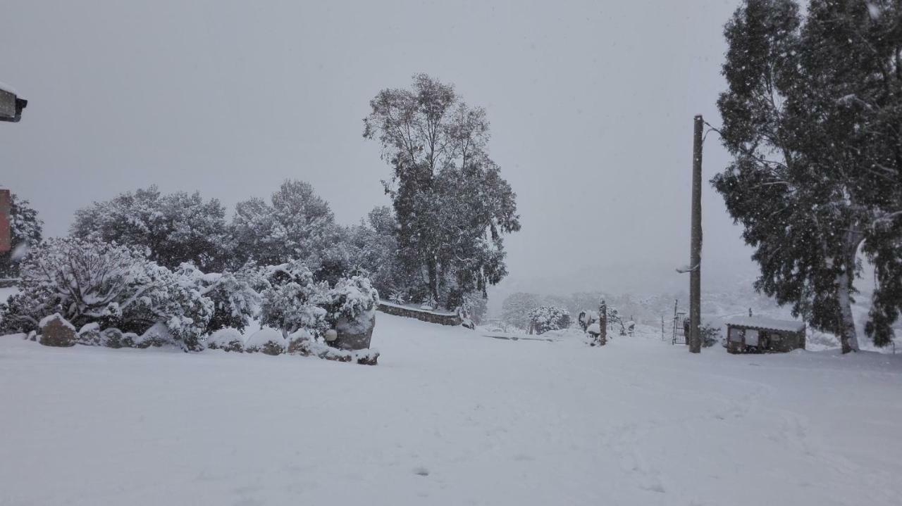 Agriturismo Monte Pino 텔티 외부 사진