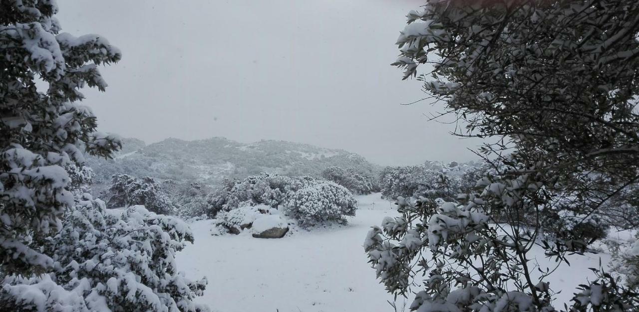 Agriturismo Monte Pino 텔티 외부 사진