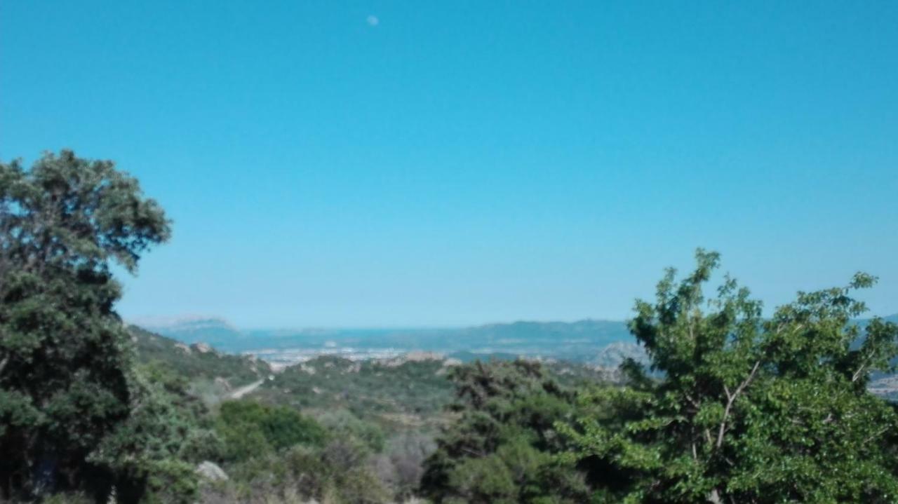 Agriturismo Monte Pino 텔티 외부 사진