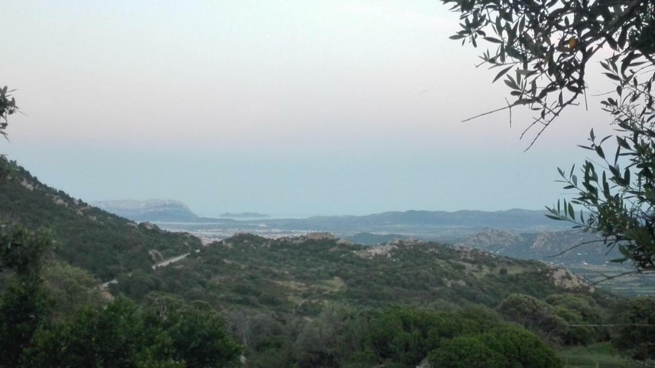 Agriturismo Monte Pino 텔티 외부 사진