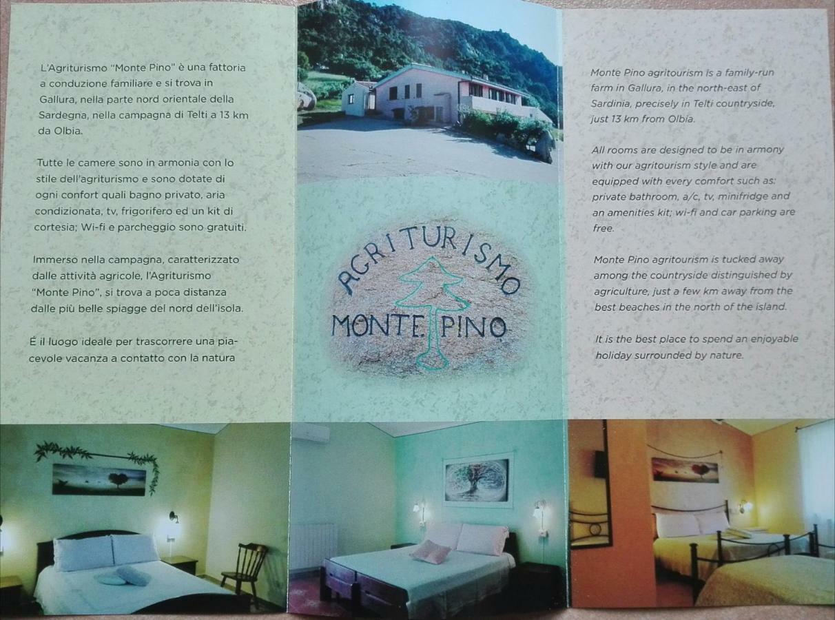 Agriturismo Monte Pino 텔티 외부 사진